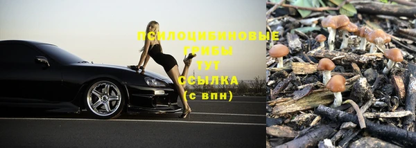 ALPHA PVP Заволжск