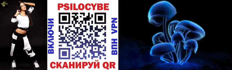 Купить закладки  Кедровый  Псилоцибиновые грибы ЛСД 