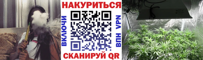 Купить закладки  Кедровый  Канабис тримм 